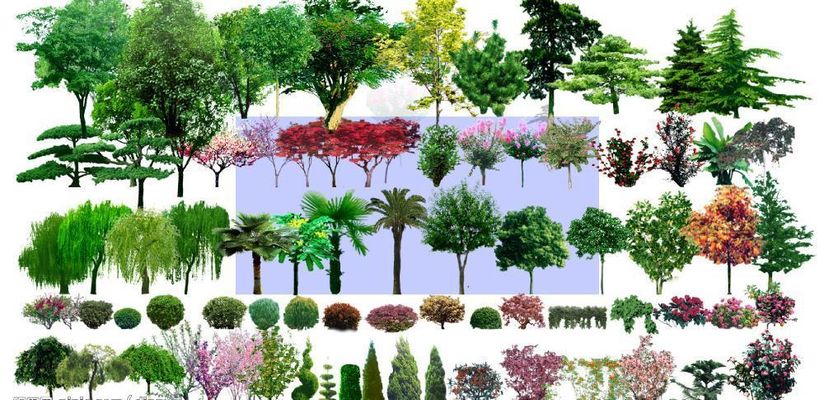 张家界国家森林公园鹞子寨景区“闭关”十年后即将重新开放